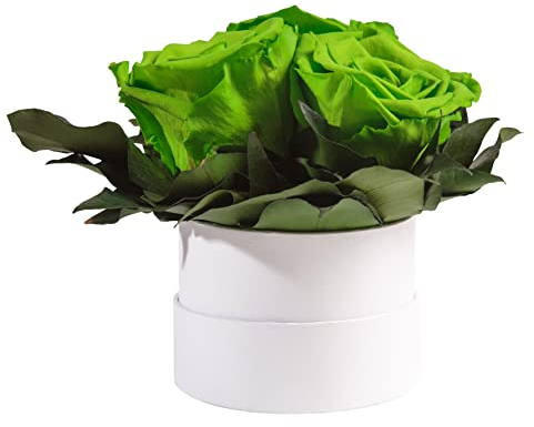 ROSEMARIE SCHULZ Heidelberg Infinity Rosenbox weiß rund konservierte Blumen Grün - 3 Infinity Rosen Durchmesser 15 cm - Geschenk für Frauen (Grün, Medium)