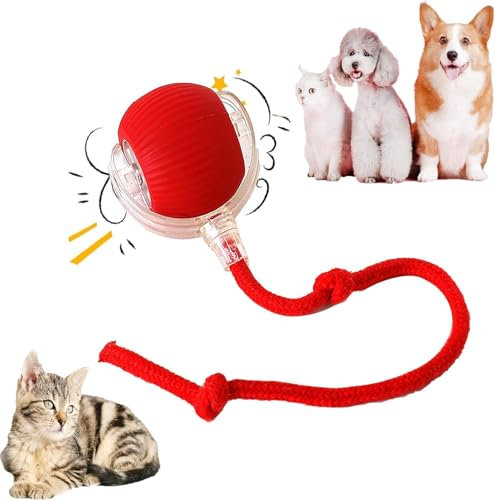 HOIDOKLY 2025 Neu Interaktives Katzenball Spielzeug, Katzenspielzeug Elektrisch mit USB Aufladbar, DREI Arbeitsmodi, 360° Smart Automatic Rolling Pet Ball (Rot)