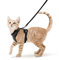 rabbitgoo Katzengeschirr mit Leine Softgeschirr für Katze Brustgeschirr Cat Harness Katzengarnitur Ausbruchsicher Verstellbar Katzenweste Schwarz S