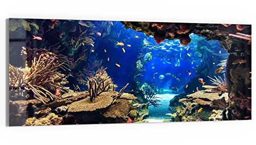 DEQORI Glasbild Acrylglas | Motiv Exotisches Aquarium | horizontal einteilig 125x50 cm | schöne Dekoration | Wandbild für Wohnzimmer, Schlafzimmer, Flur & Küche | moderne Wanddeko