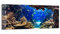DEQORI Glasbild Acrylglas | Motiv Exotisches Aquarium | horizontal einteilig 125x50 cm | schöne Dekoration | Wandbild für Wohnzimmer, Schlafzimmer, Flur & Küche | moderne Wanddeko