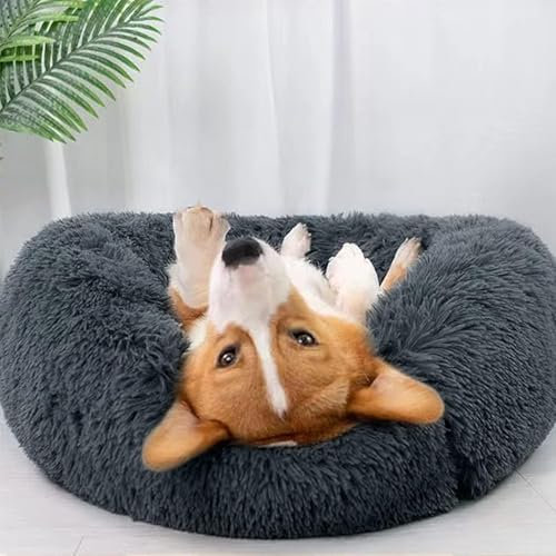 Tapis Chien, Panier Chat, Lit pour Chien Et Chat Rond en Peluche Moderne, Chaud en Automne Et en Hiver, Confortable pour Taille Moyenne (70cm Gris Foncé)