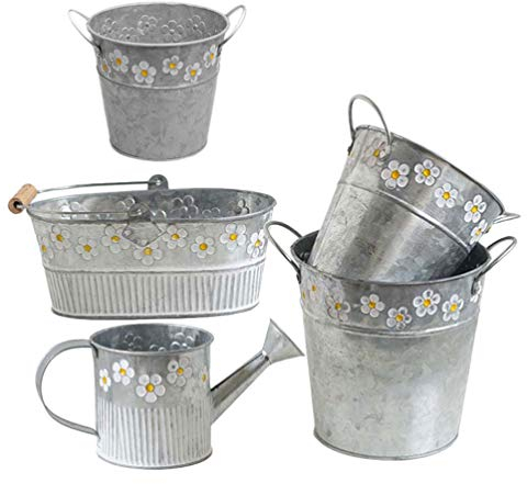 Cabilock 5 Stücke Shabby Blumenvase Vintage Gießkanne Zinkwanne Rustikaler Blumentopf Sukkulenten Topf Landhaus Vase Metall Krug Eisen Eimer für Balkon Schreibtisch Büro Deko Wohnzimmer Tischdeko
