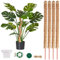 Moosstange, 4 Stück, 70 cm, Moosstangen für Pflanzen, biegbare Pflanzenstützen, Moosstange für Monstera, Moosstange für Kletterpflanzen