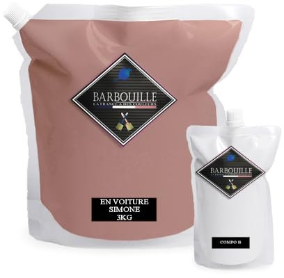 Peinture Résine Rose Poudré - Résine Epoxy Bi-Composants - Effet Brillant - Peinture Mur, Plafond, Boiserie, Carrelage & Métal - Lessivable - COV A+ - Fabriquée En France - 2,5 L - BARBOUILLE