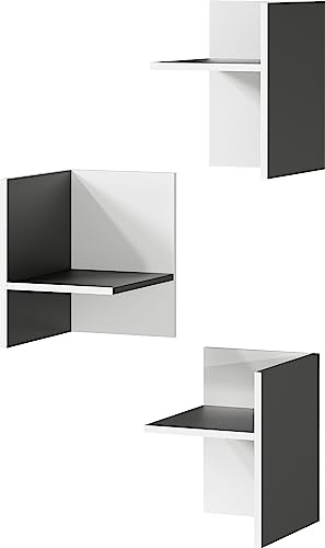 Froschkönig24 Germania Facheinsätze-Set 4284-569, in Graphit/Weiß, DREI Stück, zur Ergänzung des Aktenregals 4258, 27 x 37 x 35 cm (BxHxT)