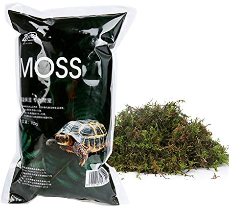 OMEM Reptile Noix de Coco Brique Séchée Mousse Ensemble Verre Conteneur Literie Tapis Coussin Tortue Chaud Hibernation Sol Fournitures pour Animaux de Compagnie