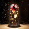Joyhoop Rosa Eterna, Bella e la Bestia, in Vetro con Base Pino Luci LED, Regalo per Festa della Mamma, Compleanno, San Valentino, da Donna, Originale Decorazione