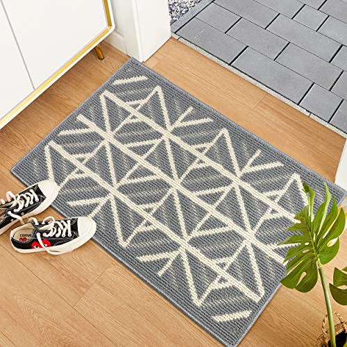 ALLONWAY Fußmatte 50 X 80 cm, Fussmatte Innen & Außen, Schmutzfangmatte, Türmatte Waschbar, Sauberlaufmatte, Staubabsorbierend und rutschfest, Für Tür/Treppe/Küche/Haustiere, Grau