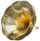 aubaho Trichter Grammophon Horn goldfarben mit Verzierungen im antik Stil