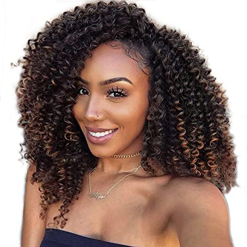 Lady Miranda Afro Kinky Curly Braiding Extensions, Crochet Hair, Short Styles (Black & Brown)