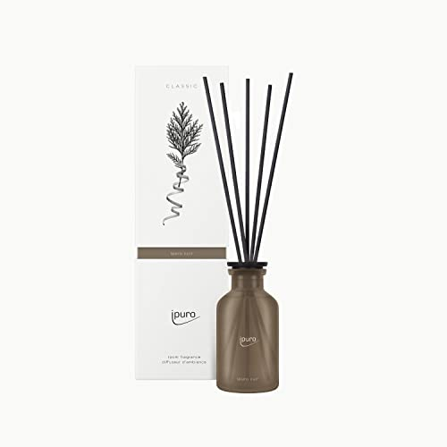 ipuro - sinnlicher ipuro cuir Raumduft - dezenter Raumerfrischer mit spritzigen Zitrusnoten & cremiger Vanille - eleganter Lufterfrischer in der Wohnung für ein puristisches Dufterlebnis 240 ml