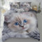 Kntnshac Haustier Ragdoll Katze Bettwäsche 135x200, Süßer Tierdruck Microfaser Bettwäsche-Set, Tierliebhaber Wendebettwäsche mit Reißverschluss，Enthält 1 Bettbezug und 2 Kissenbezug 80x80 cm