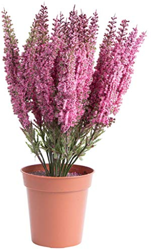 Botanic-Haus künstliche Erika (Heidekraut) in braunem Kunstofftopf (pink)