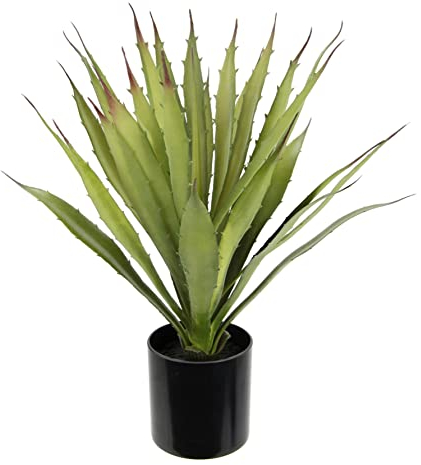 Künstliche Agave Aloe Vera im Topf Kunstpflanze Sansevieria exotische Pflanzen Grünpflanze Kunstblume Topfpflanze Zimmerpflanze Deko Terrasse Balkon Sukkulente Yucca Kalanchoe Kaktus Kakteen