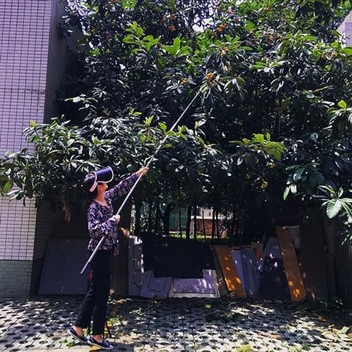 recoge frutas telescopico Pinza Extensible Con Mango Largo Para Árboles Frutales, 2.5 3 5 6 7 10 M Pértiga Recogedora De Fruta Telescópica Con Cesta Para Recolectores De Fruta Más Grandes Papayas Limó