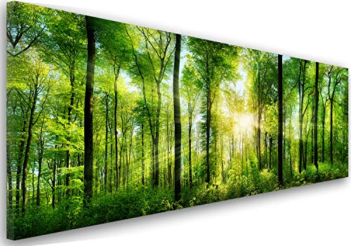 Feeby Bilder Wald Bäume 90x30 cm Wohnzimmer Schlafzimmer Büro Flur Küche Wandbilder Modern Bild auf Leinwand Wanddekoration Kunstdruck Design Sonne Natur Grün