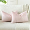 OTOSTAR Samt Soft Solid Decorative Throw Pillow Covers 12 x 20 Inch Pillow Covers Lumbar Cushion Case Couch Pillowcases for Sofa Bed Home Decor Pack of 2 (Babypink)
