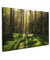 MuchoWow© Wandbilder Groß 120x80 cm XXL Schlafzimmer Home Deko Wohnung Bild Wohnzimmer Fotoleinwand Wand Bilder Leinwand Wall Decor Bäume - Wandbild Wald - Moos - Pflanzen - Sonne - Natur
