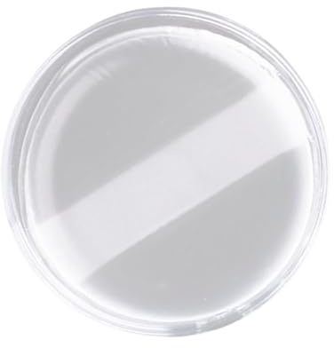 Tampon en silicone transparent, mélangeur de maquillage multifonctionnel, applicateur cosmétique réutilisable pratique pour femme, outil d'application de produits cosmétiques