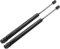 ZFZFC 2 Stück Heckklappendämpfer Gasfeder Kofferraum für Mercedes SLK R170 Convertible 1996-2004, Struts Front Hood Tailgate Boot Shock Absorber Support Rod