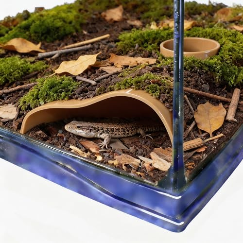 Reptile Underground Corner Cave Viewing Lizard Hideout
