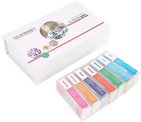 35pcs préparé Ensemble de Lames de Microscope, spécimens de Laboratoire de Lames de Microscope préparé en Verre de biologie réglés pour l'enseignement des Sciences biologiques de Base