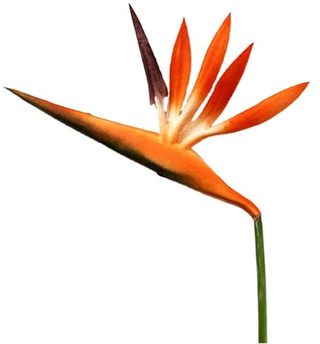 Lot de 8 fleurs artificielles oiseau de paradis de 53,3 cm, plante verte pour décoration de maison, jardin, bureau, véranda, décorations de mariage (orange rouge)