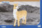 BlueBrixx Pro 107799 – Lama (Diamond Blocks) aus Klemmbausteinen mit 1924 Bauelementen