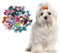 Ipetboom 30 Stück Haarschmuck Für Kinder Haargummis Für Kinder Für Mädchen Katzen-Haarspange Tierhaarschleife Clip-On-Schleifen Für Hunde Haarnadel Stirnband Kopfbedeckung Welpen