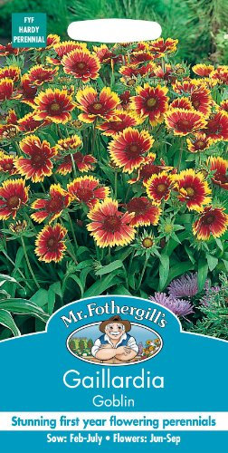 Mr Fothergills - Pictorial Packet - Flower - Gaillardia Goblin - 100 Seeds