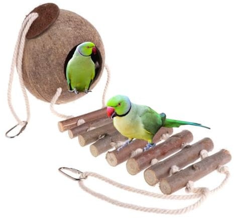 NatureBuz Handmade Coconut Shell Bird House Nest and Bamboo Wood Ladder Perch Plastic and Metal Free Parrot Parakeet Dove Hamster Mice Budgie