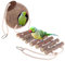 NatureBuz Handmade Coconut Shell Bird House Nest and Bamboo Wood Ladder Perch Plastic and Metal Free Parrot Parakeet Dove Hamster Mice Budgie