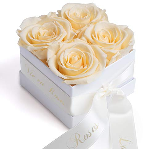 ROSEMARIE SCHULZ Heidelberg Konservierte Champagner Rosen in Box - Infinity Blumen lang haltbar in weißer Schachtel mit Satinband in Beige (Champagner)