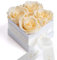ROSEMARIE SCHULZ Heidelberg Konservierte Champagner Rosen in Box - Infinity Blumen lang haltbar in weißer Schachtel mit Satinband in Beige (Champagner)