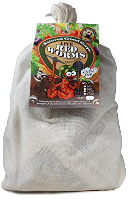 Les vers de compostage – 600 Rouge Wigglers