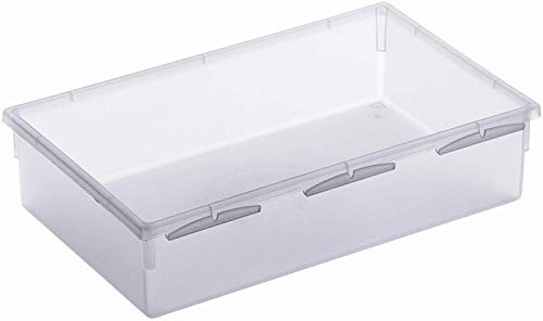 Rotho Basic modulare Ordnungsbox 23 x 15 cm für Schubladen, Kunststoff (PP) BPA-frei, transparent, (23,0 x 15,0 x 5,0 cm)