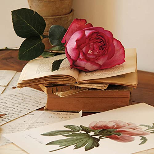 Draeger Paris - Rose sur livres