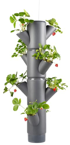 Gusta Garden Sissi Strawberry Fraisier Suspendu Anthracite - Système de Suspension pour Fraises - pour Jardin et Balcon - 77 cm de Hauteur - Volume de Terre 10 L