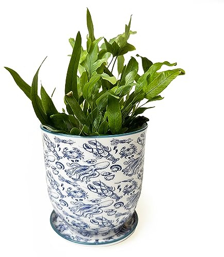 CHIVE 'Liberte' Ceramic Succulent Planters — Cute 4.25 Inch Vintage Style Pots for Indoor Plants — Beautiful Home and Kitchen Décor — Octopus