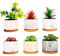 simpa 6PC Decorative Mixed Pattern Ceramic Plant Pots - Mixed Colour Design 7.3cm (H) x 7.3cm (Dia)