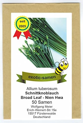 Schnittknoblauch - winterhart - Ky Broad Leaf - Nien Hwa - 50 Samen