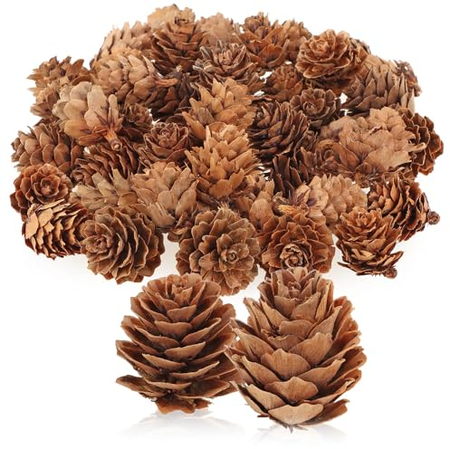 com-four® 50x Dekozapfen Lärche - Streudeko für Herbst und Winter - Zapfendeko - kleine Lärchenzapfen - Tannenzapfen (50x Lärchenzapfen Natur)
