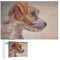 Jack Russell Terrier Jigsaw Puzzle for Adults Wooden Puzzle Funny Leisure Toy Gifts for Family Friends 1000 PCS