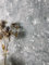 Newroom Tapete Grau Vliestapete Beton - Betonoptik Modern Dunkelgrau Silber Zement Metallic Betonwand Industrial Glanztapete inkl. Tapezier-Ratgeber