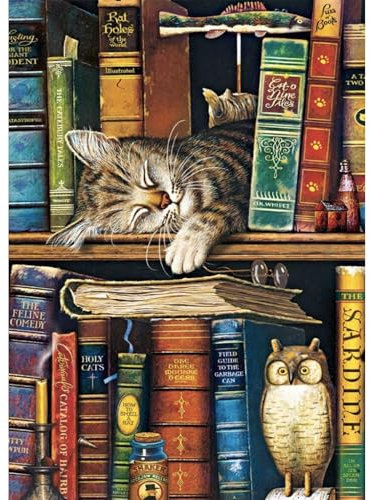 Jawecci Katze Diamond Painting Erwachsene, 5D Bücherregal Diamant Painting Bilder Erwachsene Anfänger, DIY Runde Steine Katze Diamant Kunst Set Diamant Malerei für Home Dekor 30x40cm