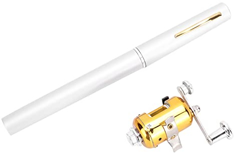 Dilwe 21 cm Mini-Teleskop Taschenangelrute mit ST5 P Spinnrolle