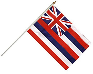 Bandiera fritze® Stock Bandiera USA Hawaii – 30 x 45 cm