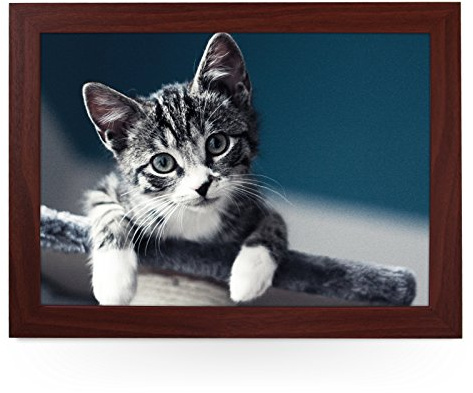 Portable Lap Desk Tray (Grey Kitten) Handmade Wooden Frame, Beanbag Cushioned Bottom | Computers, Laptops, Meals, Food | L0031 Brown