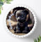 Für die Geburtstags Torte, Zuckerbild, Tortenbild, Essbares Foto für Torten, Fondant, Tortenaufleger Ø 20cm, 1043z